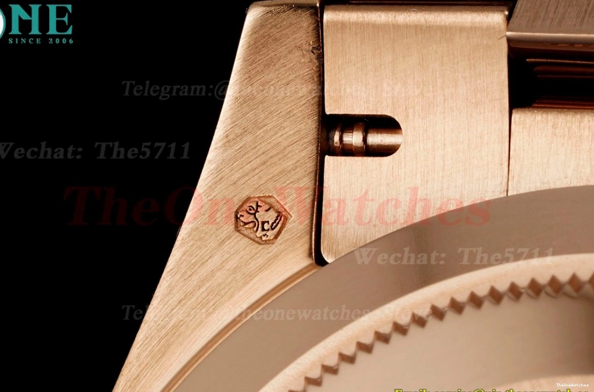 RG DayDate VR3255(Gain Brown KF 40mm Weight) 228235 Dia RG 0416